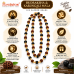 Mandirwood Authentic Rudraksha With Karungali Mala Ebony Wood Beaded Spritual Necklace With Golden Capping For Regular Use - Image 2