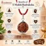Mandirwood Authentic Single Bead Rudraksha Pendant Necklace for Men & Women | Spiritual Mala for Meditation, Yoga, Prayer & Daily Wear - Image 2