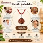 Mandirwood Authentic Single Bead Rudraksha Pendant Necklace for Men & Women | Spiritual Mala for Meditation, Yoga, Prayer & Daily Wear - Image 3