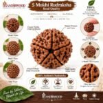 Mandirwood Authentic Single Bead Rudraksha Pendant Necklace for Men & Women | Spiritual Mala for Meditation, Yoga, Prayer & Daily Wear - Image 4